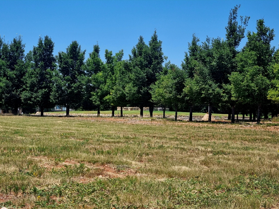 0 Bedroom Property for Sale in Magersfontein Memorial Golf Estate Northern Cape